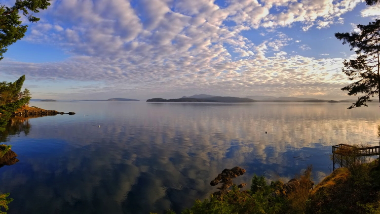 Reflection, from the composer's home on San Juan Island, WA.